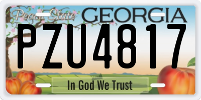 GA license plate PZU4817