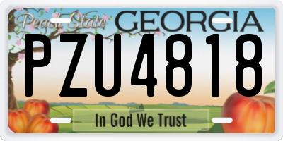 GA license plate PZU4818