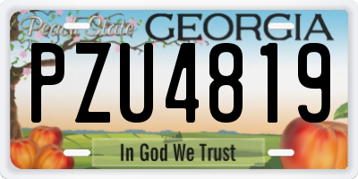 GA license plate PZU4819