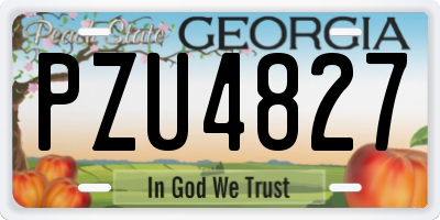 GA license plate PZU4827