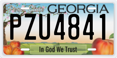 GA license plate PZU4841