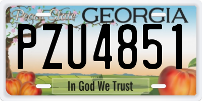 GA license plate PZU4851