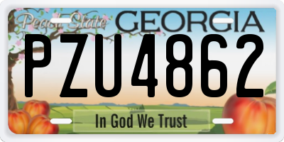 GA license plate PZU4862