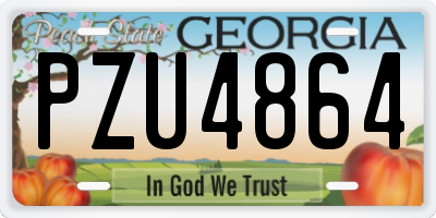GA license plate PZU4864