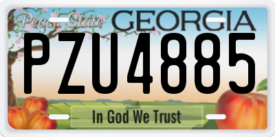 GA license plate PZU4885