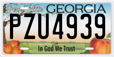 GA license plate PZU4939