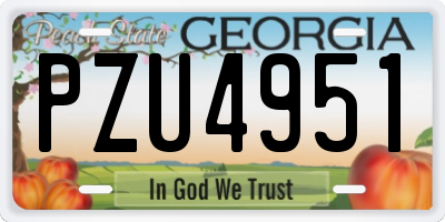GA license plate PZU4951