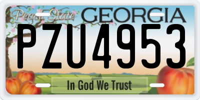 GA license plate PZU4953