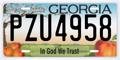 GA license plate PZU4958
