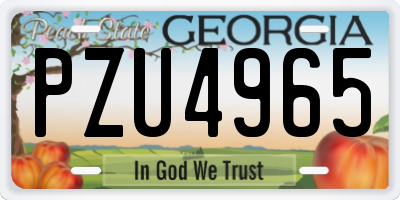 GA license plate PZU4965