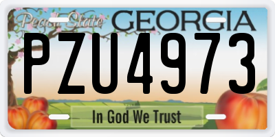 GA license plate PZU4973