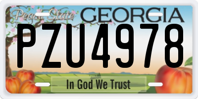 GA license plate PZU4978