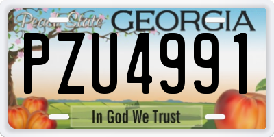 GA license plate PZU4991