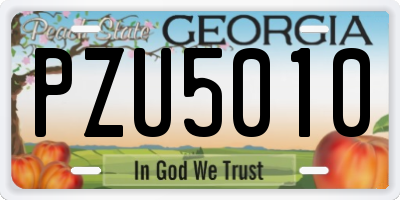 GA license plate PZU5010