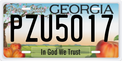GA license plate PZU5017