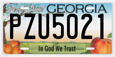 GA license plate PZU5021
