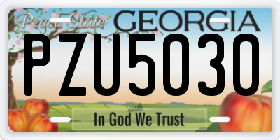 GA license plate PZU5030