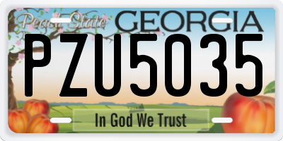 GA license plate PZU5035