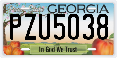 GA license plate PZU5038