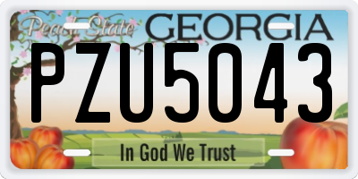 GA license plate PZU5043