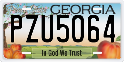 GA license plate PZU5064