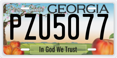 GA license plate PZU5077