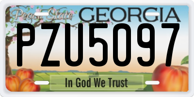 GA license plate PZU5097
