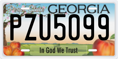 GA license plate PZU5099