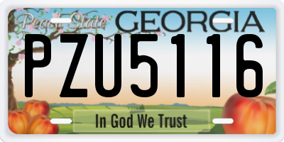 GA license plate PZU5116