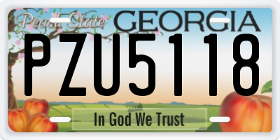GA license plate PZU5118