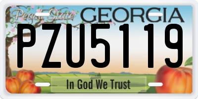 GA license plate PZU5119