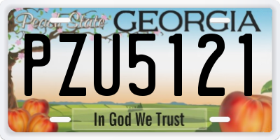GA license plate PZU5121