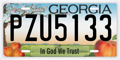 GA license plate PZU5133