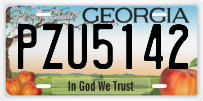 GA license plate PZU5142