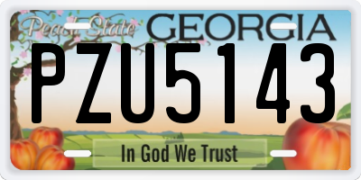 GA license plate PZU5143