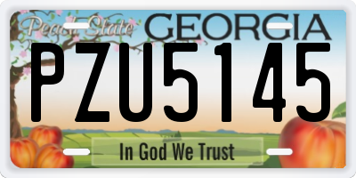 GA license plate PZU5145