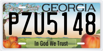GA license plate PZU5148