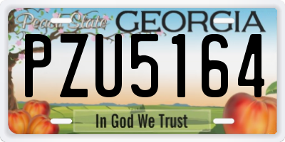 GA license plate PZU5164
