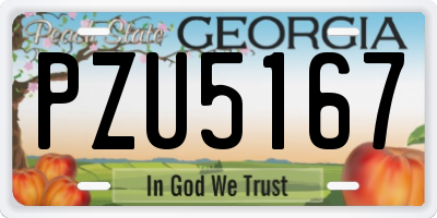 GA license plate PZU5167