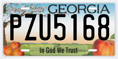 GA license plate PZU5168