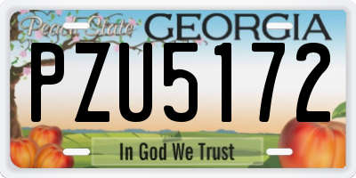 GA license plate PZU5172