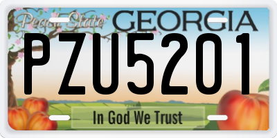 GA license plate PZU5201