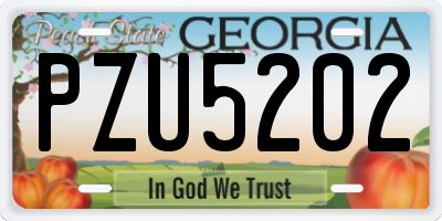 GA license plate PZU5202