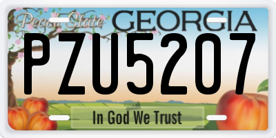 GA license plate PZU5207