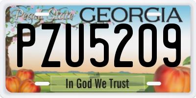 GA license plate PZU5209