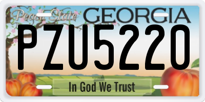 GA license plate PZU5220