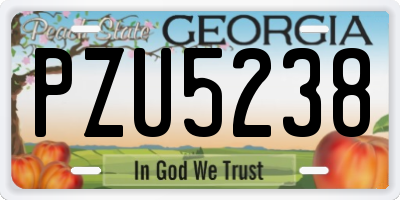 GA license plate PZU5238
