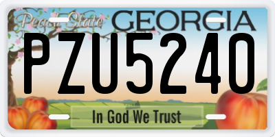 GA license plate PZU5240