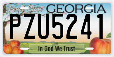 GA license plate PZU5241
