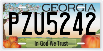 GA license plate PZU5242